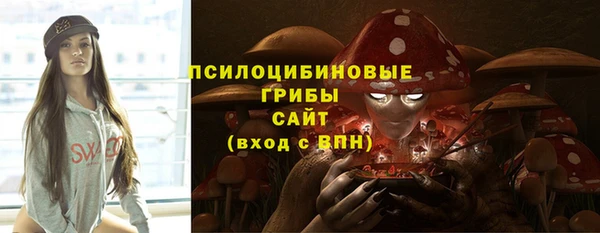 мескалин Арсеньев