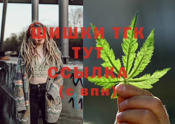 СК Аркадак