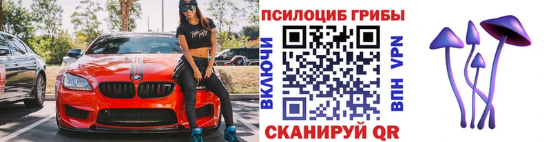 Псилоцибиновые грибы ЛСД  Купить где  Великий Устюг 